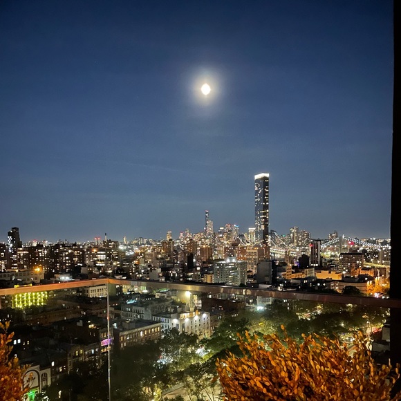 Meet your Posher, Mya - Picture 1 of 1